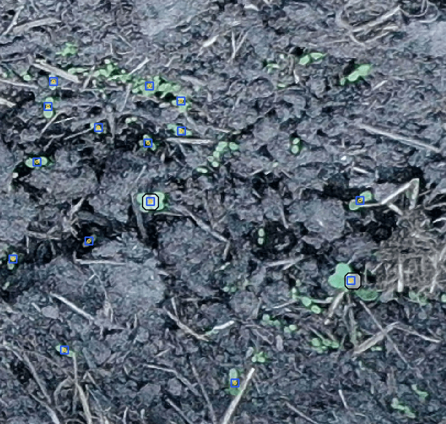 Overlay image comparing predicted blue markers with white ground-truth boxes.