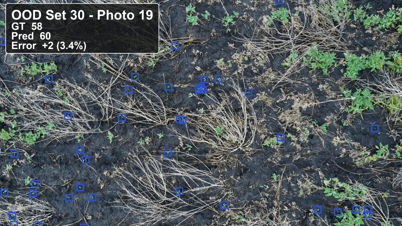 Updated model results cover image from the PlantCounts USask canola dataset case study.