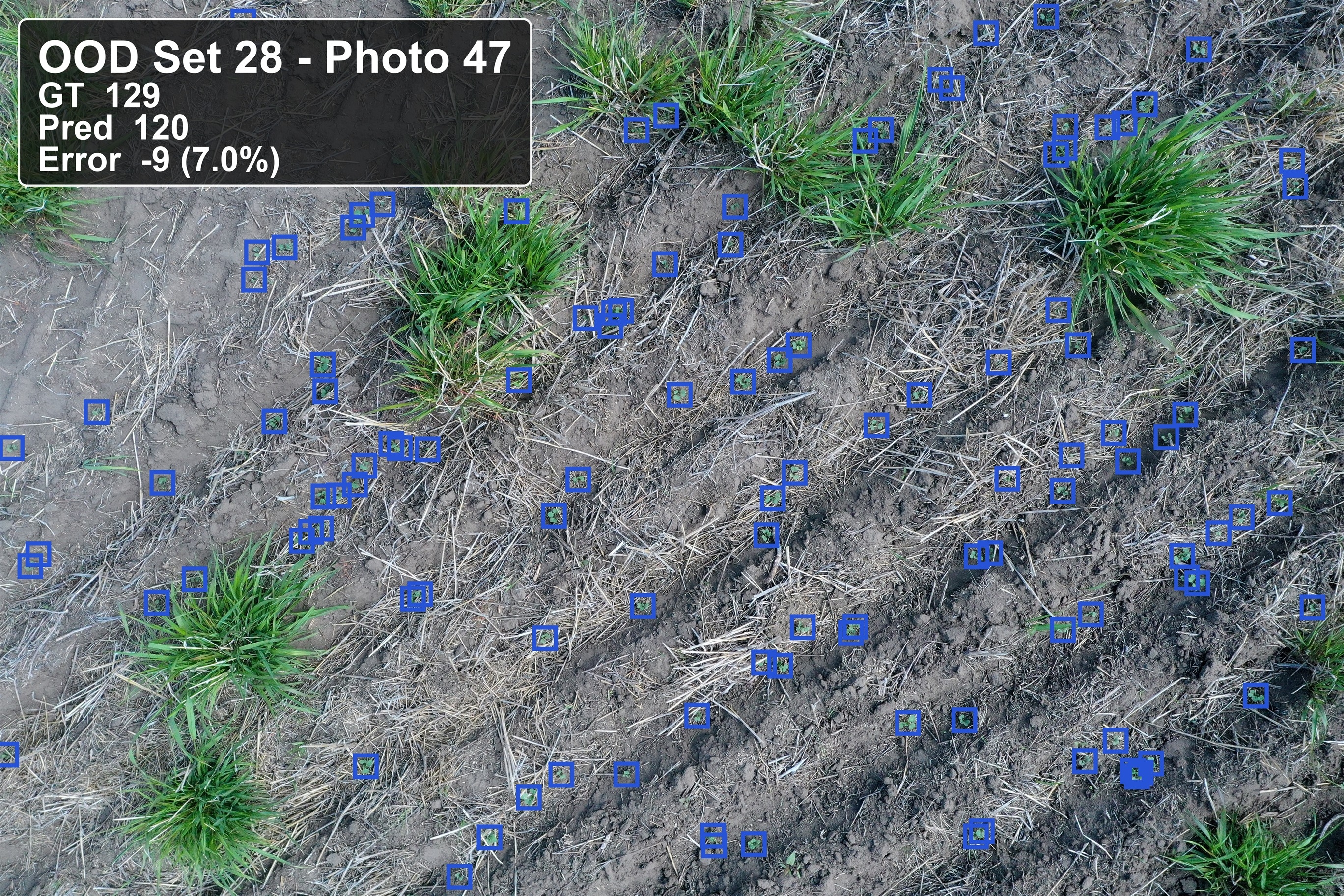 Updated model result for out-of-domain set 28.