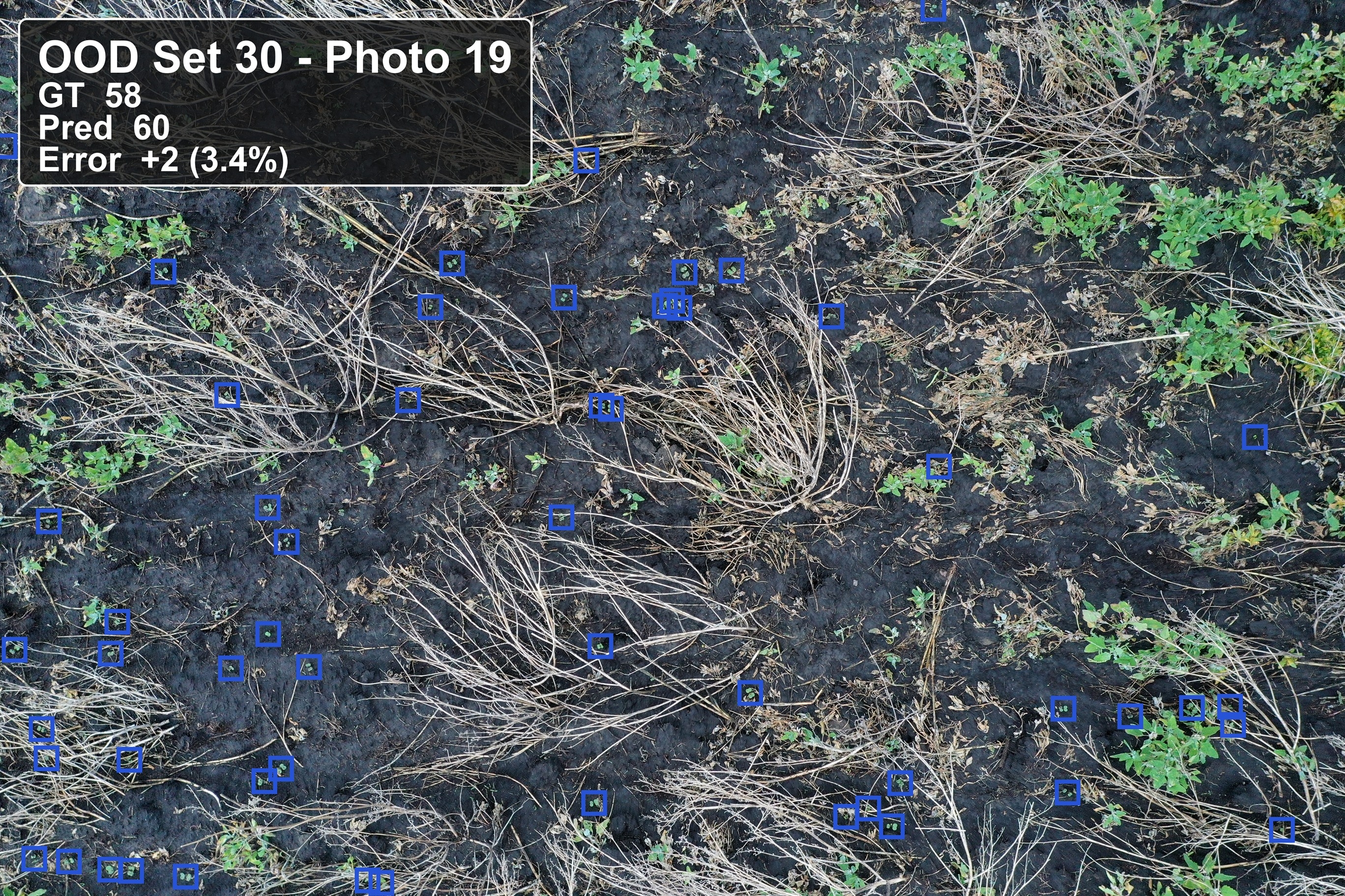 Updated model result for out-of-domain set 30.