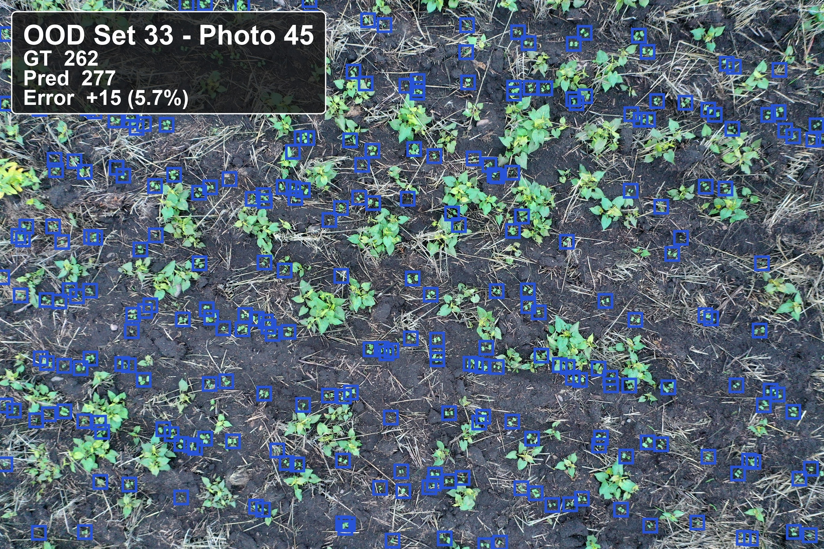 Updated model result for out-of-domain set 33.