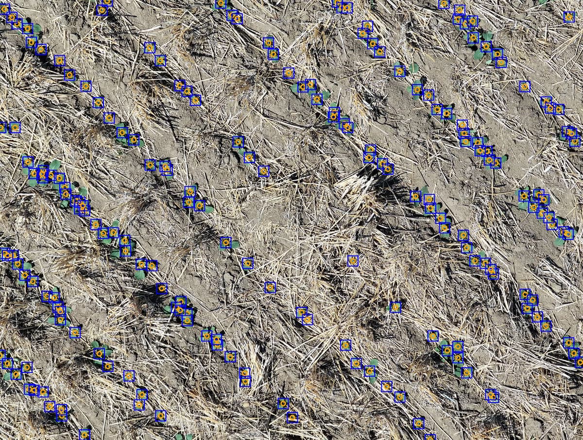 Plant counts overlay visualization